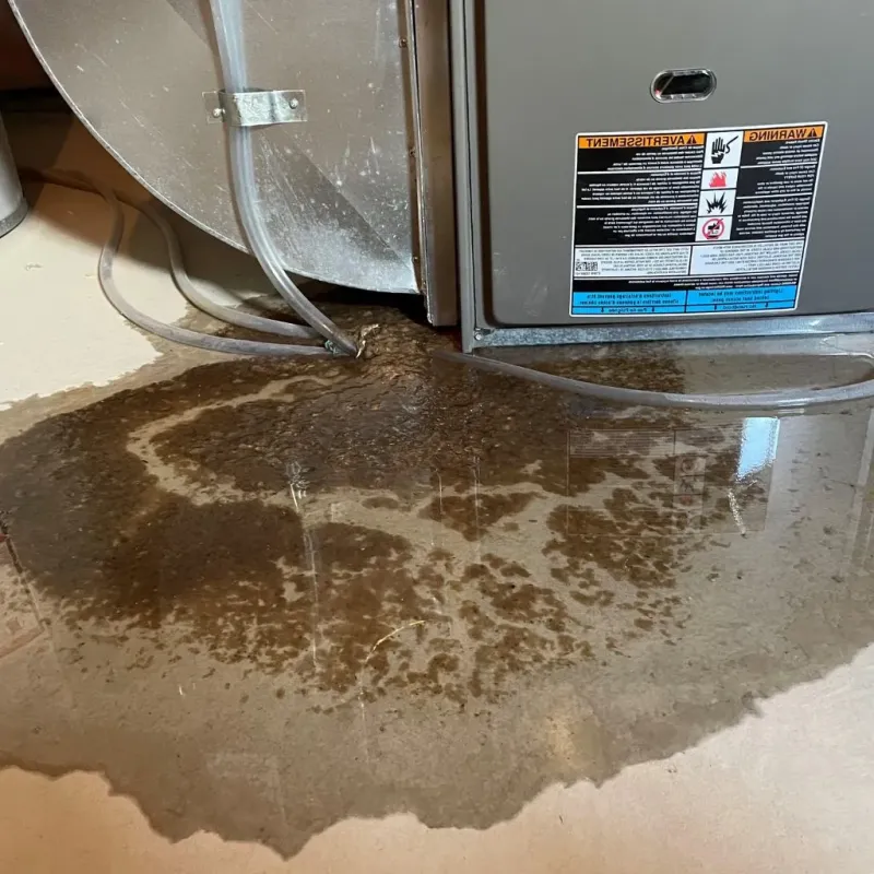 Pipe Burst and Leak Restoration in Monroeville, IN